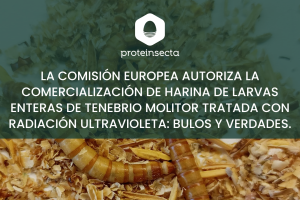 La Comisión Europea autoriza la comercialización de harina de larvas enteras de Tenebrio molitor tratada con radiación ultravioleta : bulos y verdades.