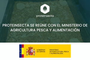 Reunión proteinsecta y MAPA