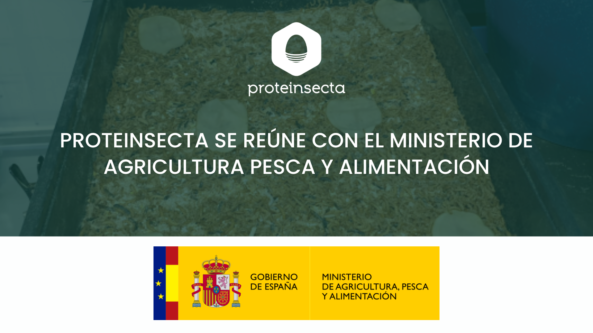 Reunión proteinsecta y MAPA